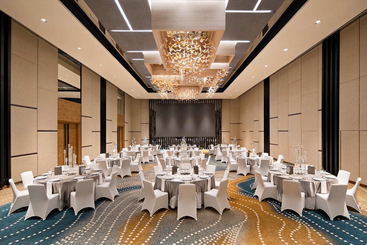 WhatsApp Image 2024-11-20 at 14.31.26